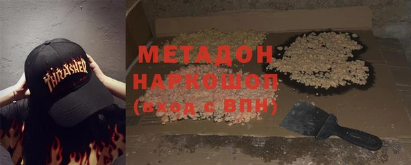прущие грибы Шарыпово