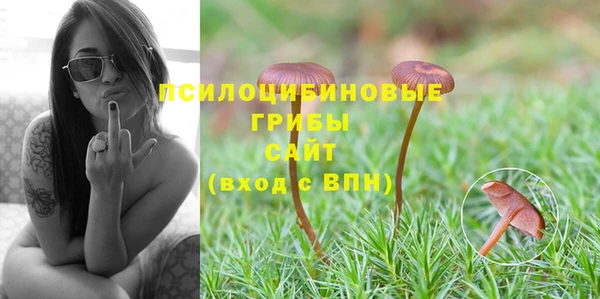 амфетамин Заводоуковск