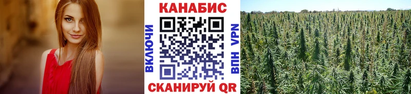 Бошки марихуана конопля  Сосногорск 